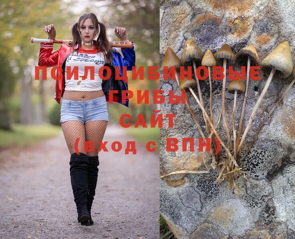 mdpv Абинск